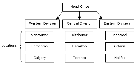 Planning Your Company Structure